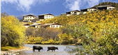 en chine