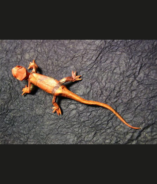 Gecko &agrave; l'arr&ecirc;t