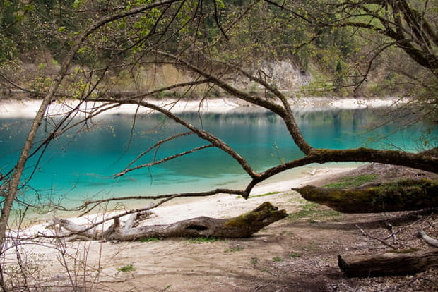 Dans la forêt tempérée de Jiuzhaigou