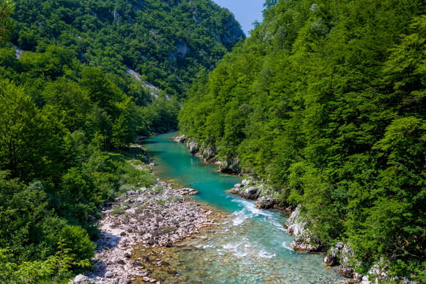 Le canyon de la Tara