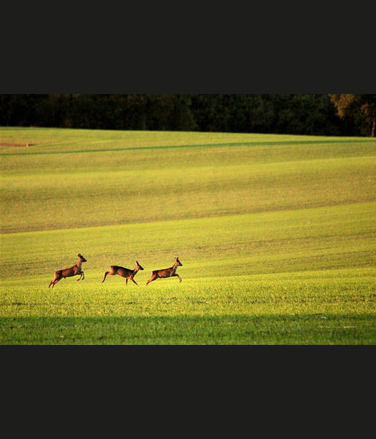 Le bonheur est dans le Gers