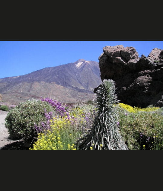 Pic du Teide, Canaries