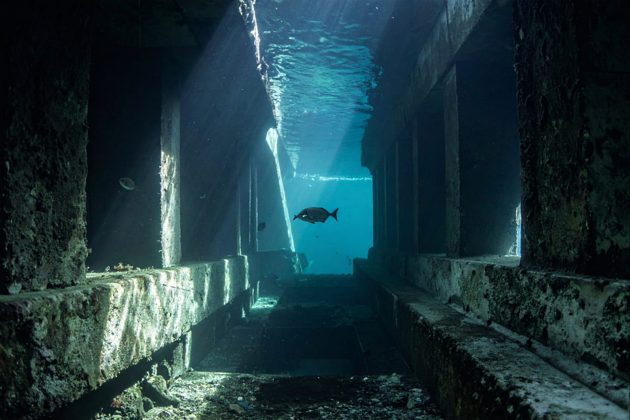 "Une tragédie comparable à celle de Pompéi" : une cité engloutie découverte, les restes de nombreux habitants retrouvés