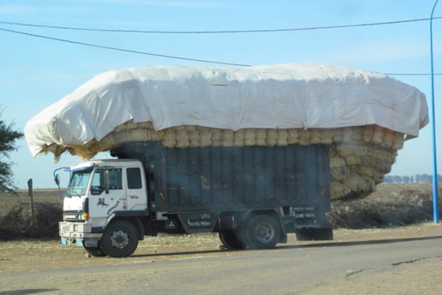 L'histoire sans foin