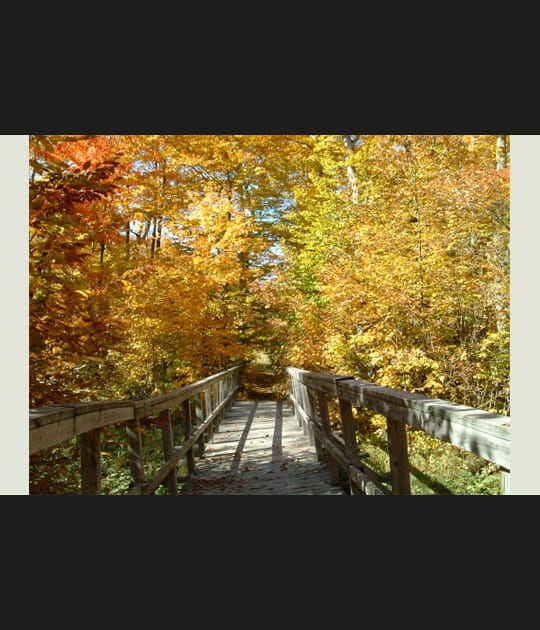 Parc du Mont-Orford