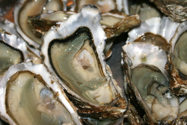 Les huîtres
