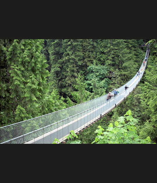 Le pont suspendu de Capilano, Vancouver