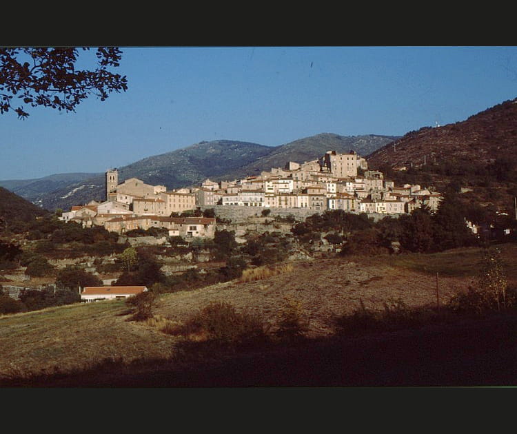 Mosset