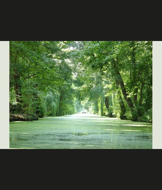 Marais poitevin