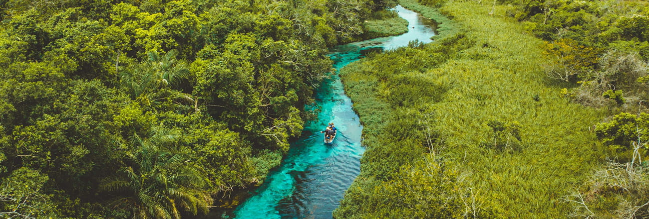 Pantanal, le joyau sauvage du Brésil