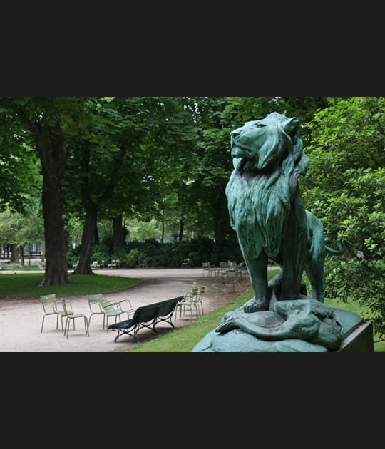 Lion de Nubie et sa proie