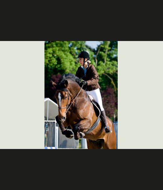 Concours hippique national de jumping