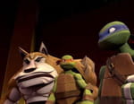 Les Tortues Ninja