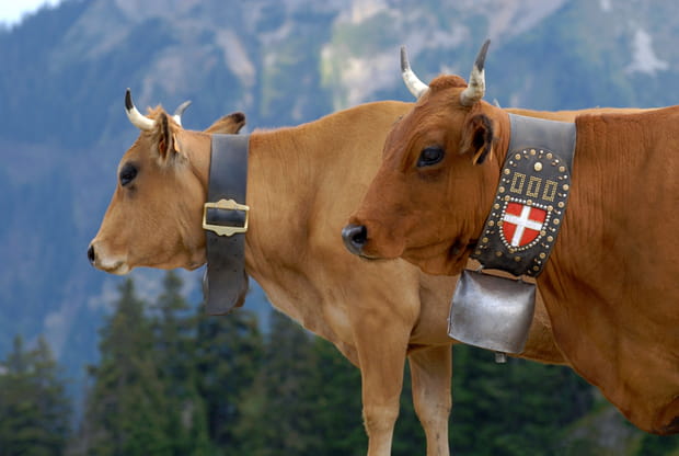 La cuisine savoyarde, pour les amoureux de fromage, charcuterie et bon vin !