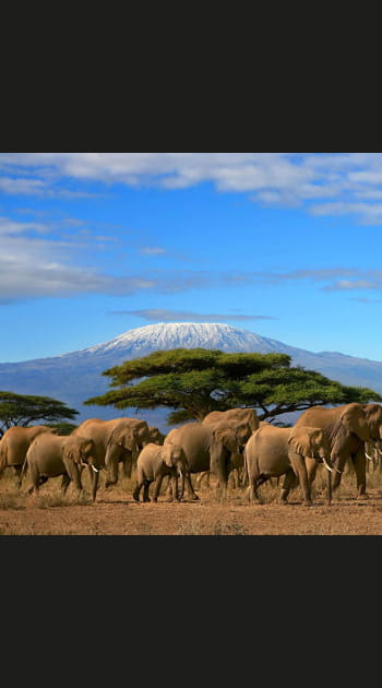 Le Kilimandjaro, Tanzanie