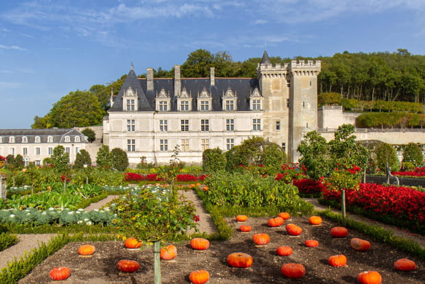 Le château de Villandry, un voyage coloré au cœur de la Touraine