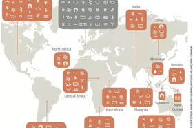 Des symboles vieux de 40&nbsp;000&nbsp;ans découverts, il pourrait s'agir de la première langue &eacute;crite