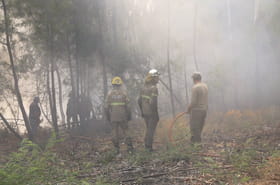 Portugal&nbsp;: un pompier meurt en combattant un incendie