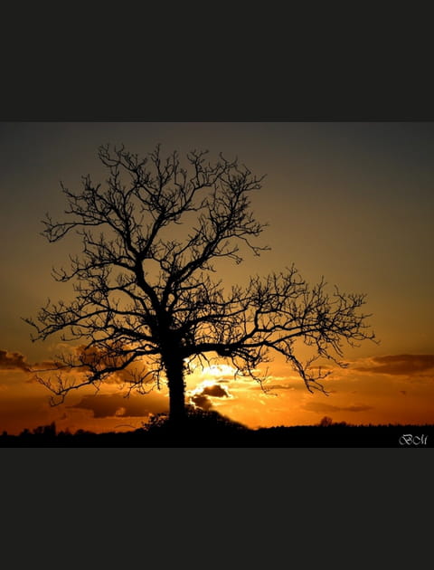 L'image de la semaine du 21 f&eacute;vrier 2012