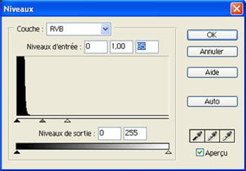 jouez avec les niveaux pour faire ressortir les détails de votre image.