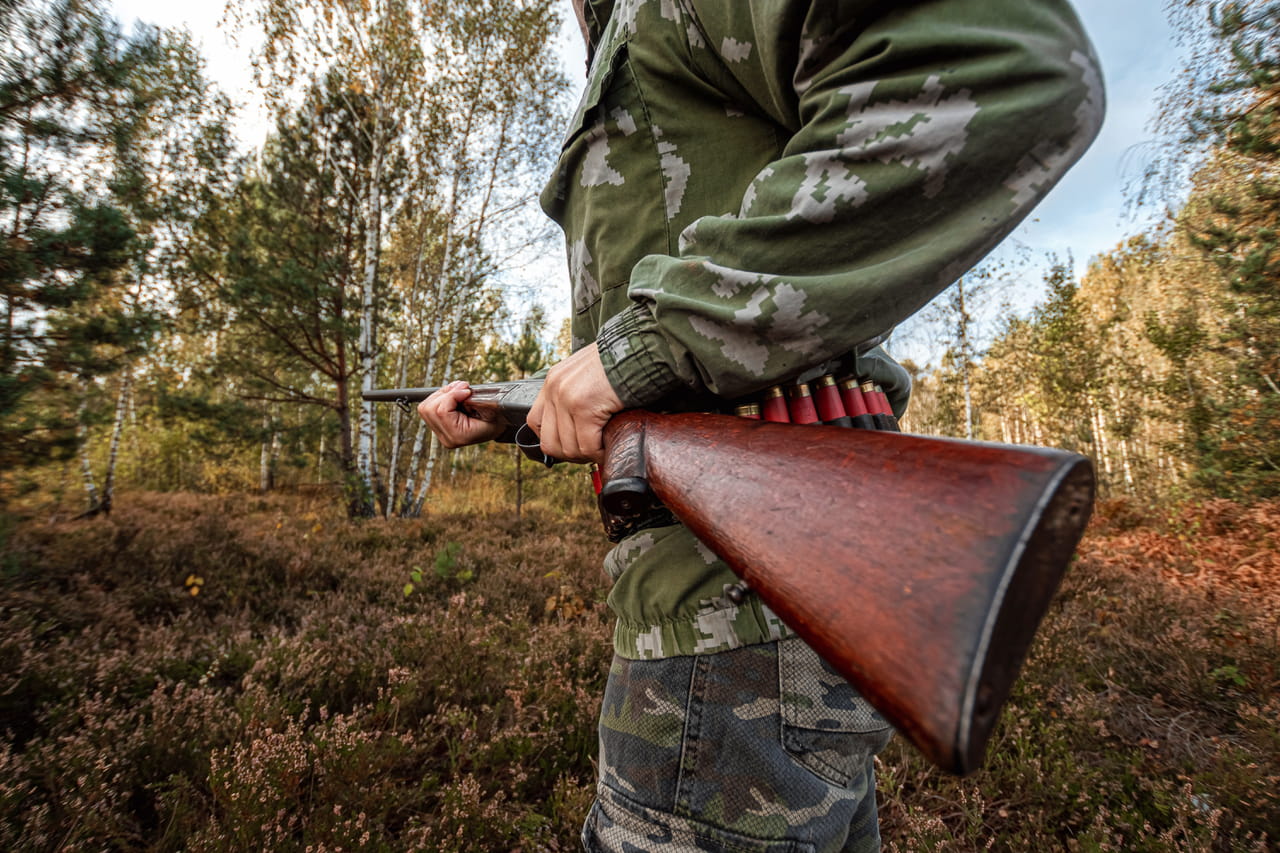 La chasse est-elle d'intérêt général ? Les arguments pour et contre, trois experts se prononcent