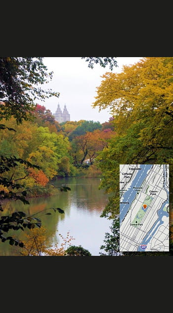 Cl&eacute; n&deg;2&nbsp;: Central Park