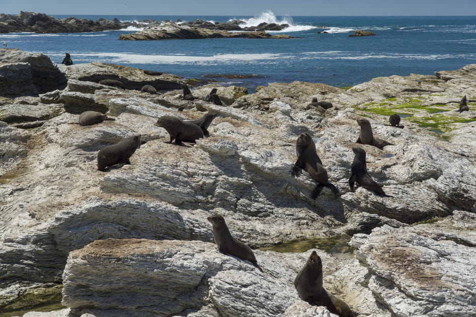 La p&eacute;ninsule de Kaikoura