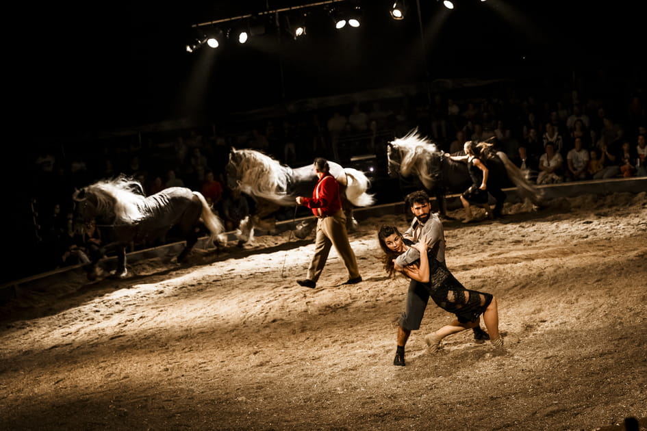 Prohib&eacute;, le spectacle du Haras National d'Hennebont