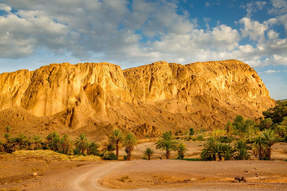 L'oasis de Fint