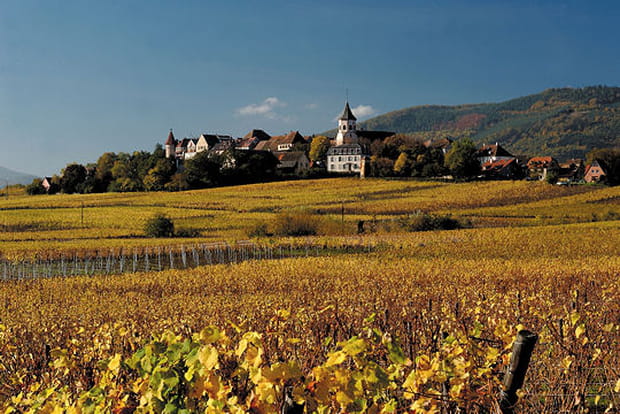 Zellenberg, l'écrin panoramique des grands crus d'Alsace