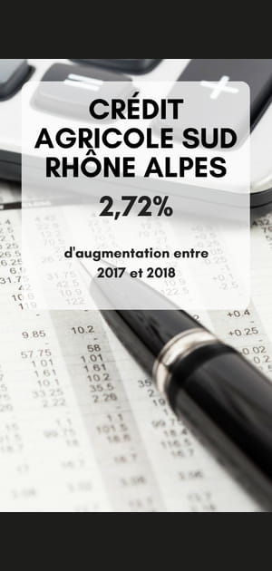 19. Cr&eacute;dit Agricole Sud Rh&ocirc;ne Alpes