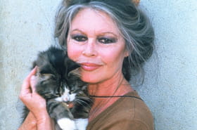 Brigitte Bardot a d&eacute;cid&eacute; de quitter le cin&eacute;ma &agrave; cause d'une ch&egrave;vre