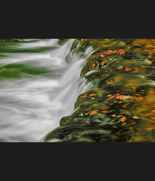 Rivi&egrave;re