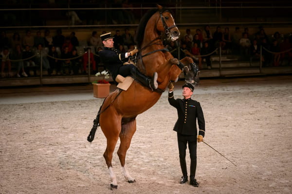 AFP