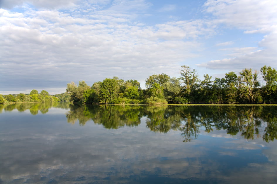 La Vouivre des marais