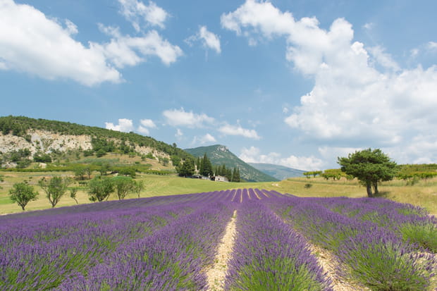 Un week-end dans la Drôme