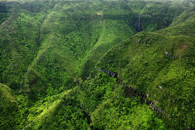 Le parc national des Gorges de Rivière Noire
