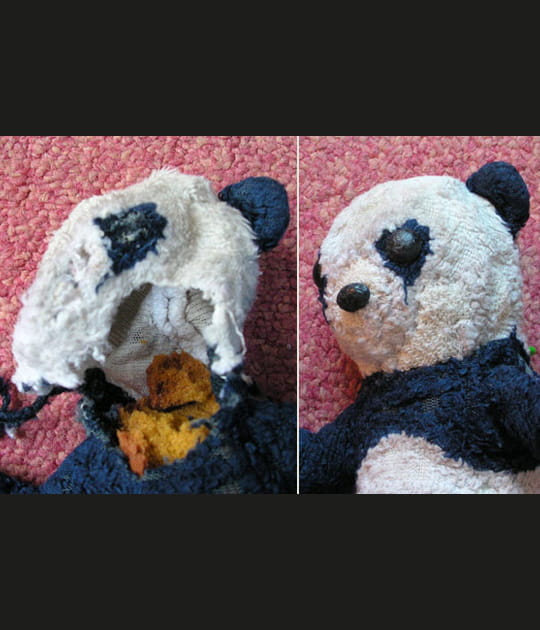 Pandi Panda, petit ourson de Chine...
