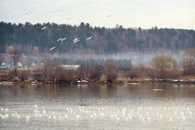 L'arrivée du printemps