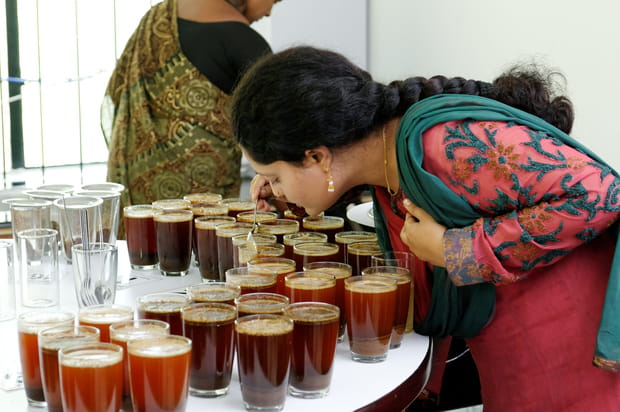 Le grand cru Pure Origine Indriya