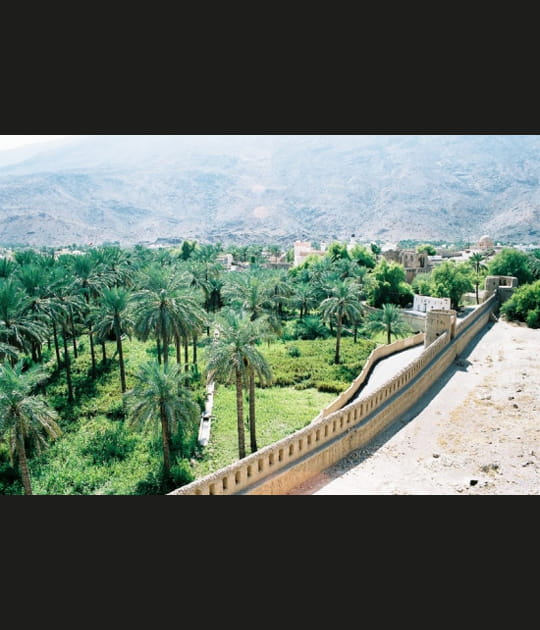 La palmeraie de Roustaq