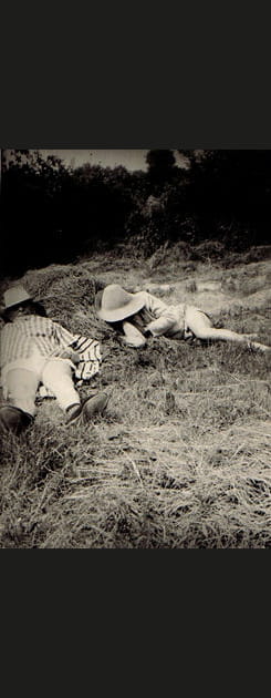 Sieste &agrave; l'ombre