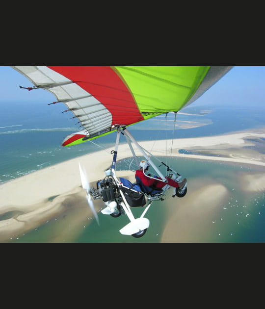 Sur le banc d'Arguin