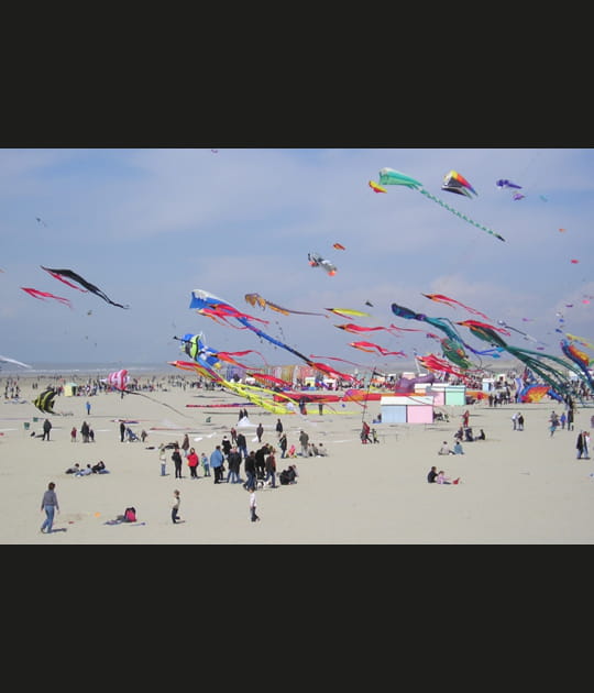 23e Rencontres Internationales de cerfs-volants de Berck-sur-Mer