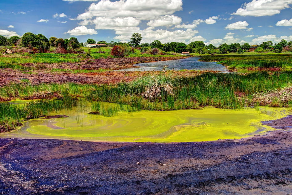 Le Pitch Lake &agrave; La Brea sur l&rsquo;&icirc;le de Trinidad