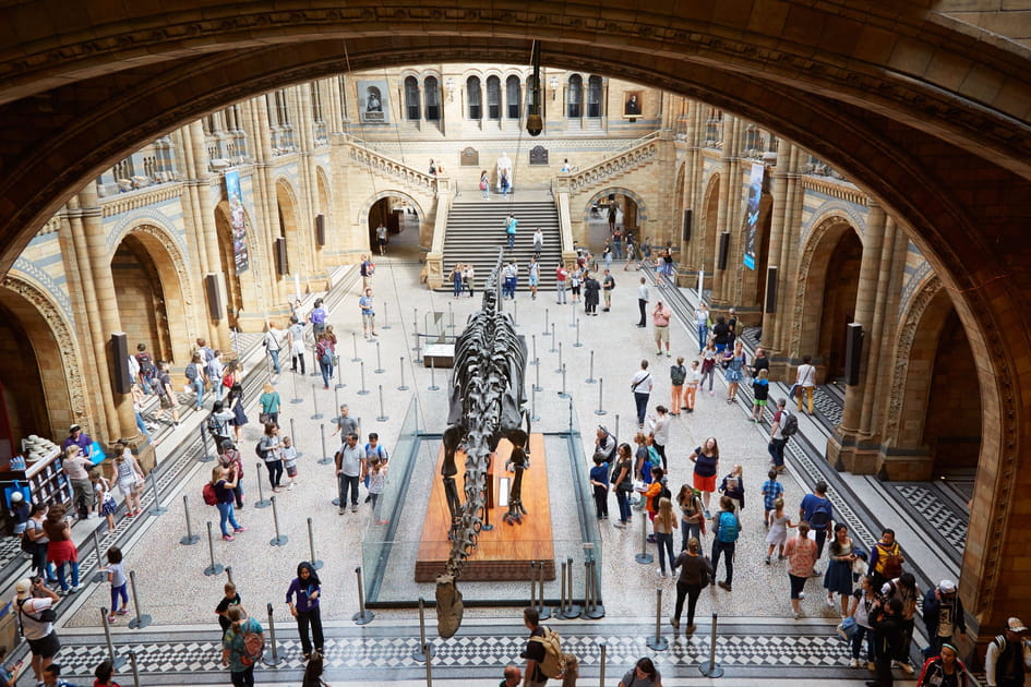 Le mus&eacute;e d'histoire naturelle