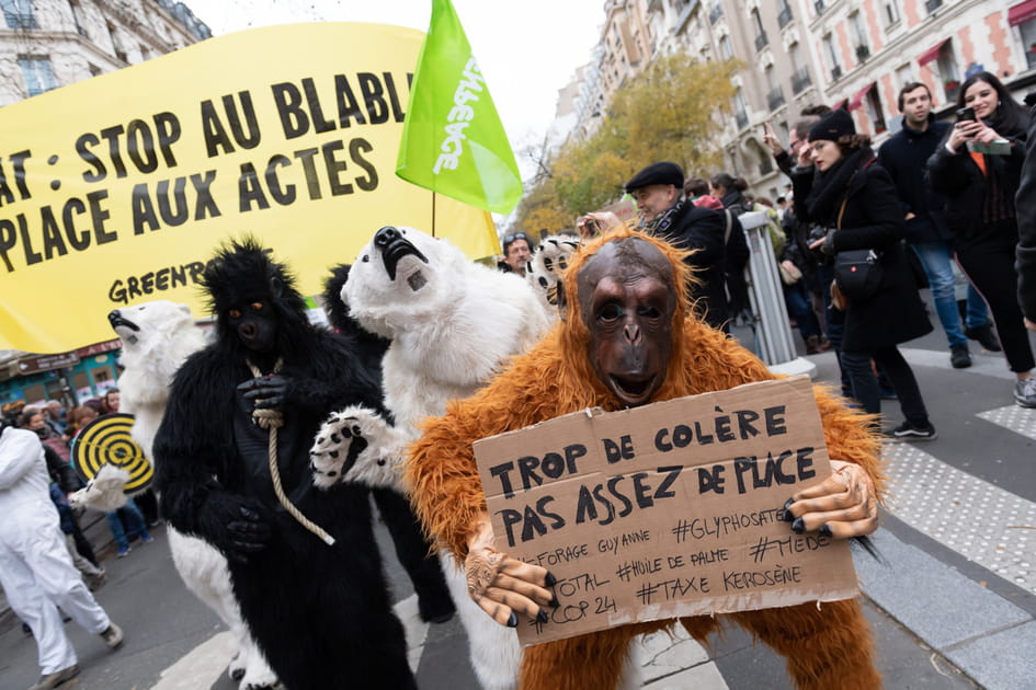 Marche contre le changement climatique