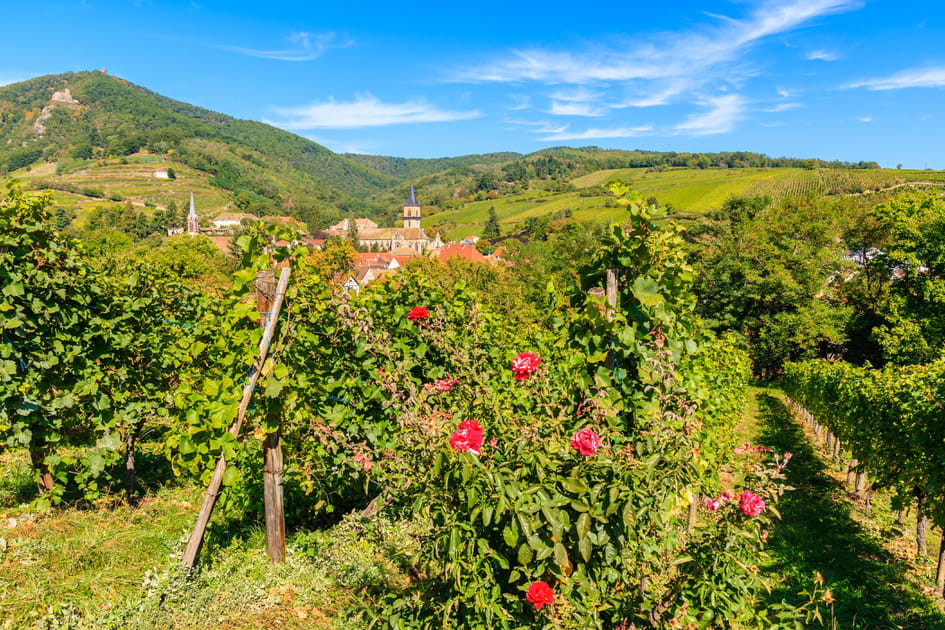 Sentier viticole
