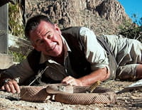 Les 10 serpents les plus dangereux : Des Etats-Unis