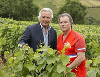Le sang de la vigne : Le vin nouveau n'arrivera pas
